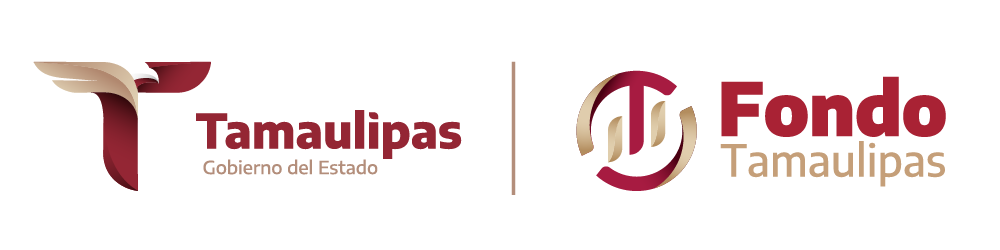 Inversion Tamaulipas Logo